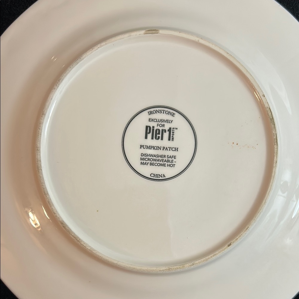 PIER 1  PUMPKIN PATCH SQUASH PLATE - Picture 7 of 11